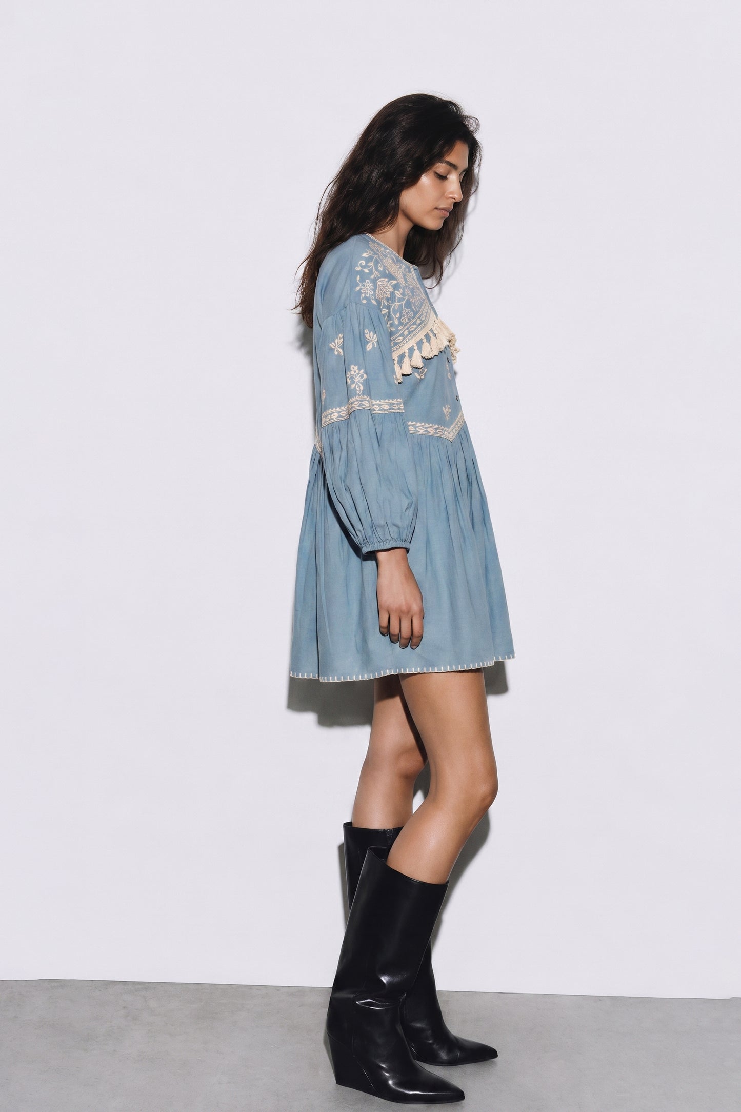 Indigo Meadow Embroidered Short Dress
